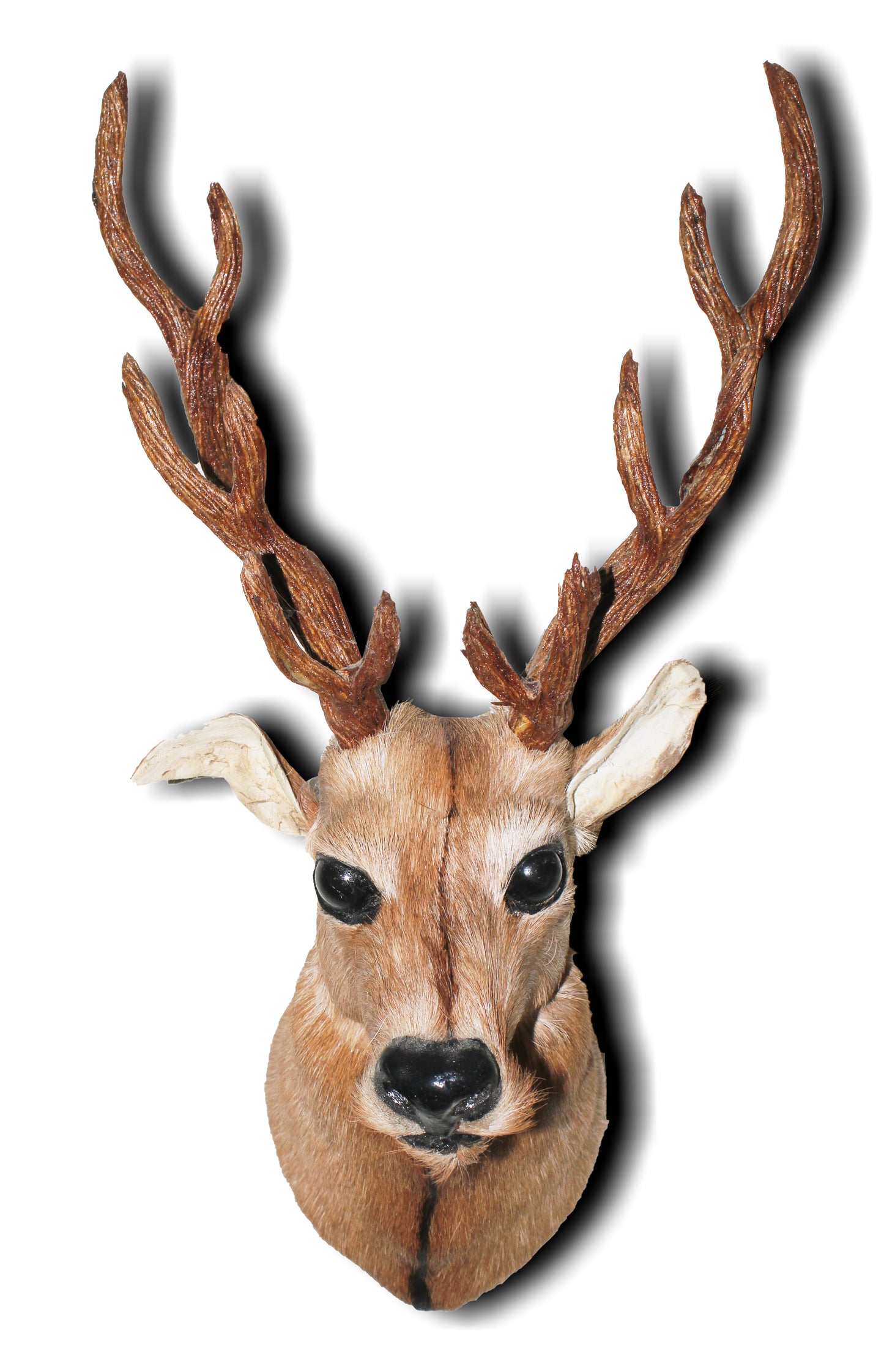 NB Crafted Wall Hanging Deer Head showpieces for Home, Living room, Restaurants Decoration and Wall Mounted - Home Decors (Pack of 1)-Wood