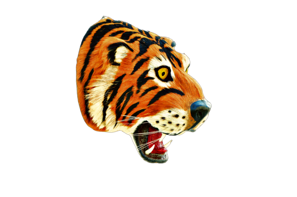 NB Crafted Tiger Head Hanging Showpiece For Home Decoration | Showpieces For Home Decor Living Room | Home Decorative Item | Wall Hanging Showpiece | Pack Of 1(Wood, Multicolour)