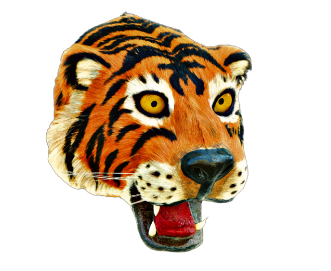 NB Crafted Tiger Head Hanging Showpiece For Home Decoration | Showpieces For Home Decor Living Room | Home Decorative Item | Wall Hanging Showpiece | Pack Of 1(Wood, Multicolour)